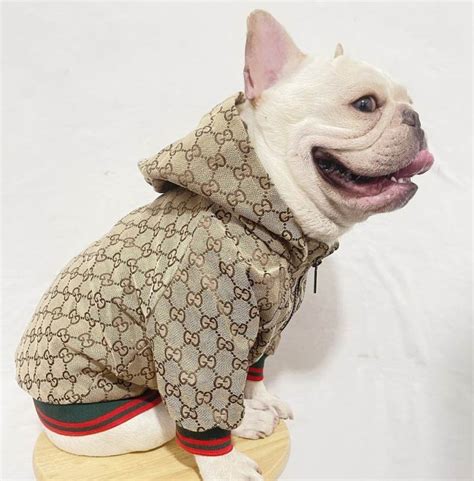 gucci designer dog clothing.